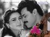 Filename=priety_venkatesh1_8x6.jpg
Filesize=39KiB
Dimensions=800x600
Date added=Mar 02, 2011 priety_venkatesh1_8x6.jpg